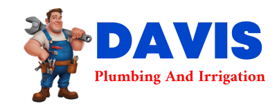 Trusted plumber in DE LAND